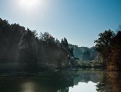 Bernheim Forest early morning photography