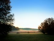 Bernheim Forest early morning photography