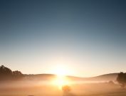 Bernheim Forest early morning photography