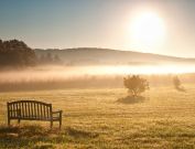 Bernheim Forest early morning photography