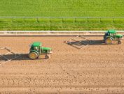 Louisville Breeders Cup Photography