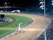 Louisville Breeders Cup Photography