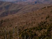 Clingmans Dome