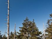 Clingmans Dome