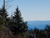 Clingmans Dome