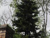 Hard to see, this is the multi band dipole