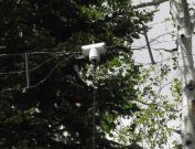 Closer view of the dipole