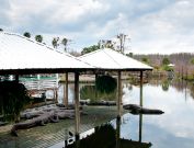 gatorland-florida-15