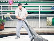 gatorland-florida-7