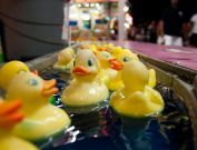 kentucky-state-fair-52