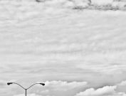 louisville-black-white-9