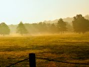 Louisville in the Morning