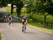 MS-Bike-2010
