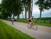 MS-Bike-2010