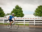 MS-Bike-2010