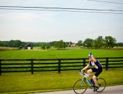 MS-Bike-2010