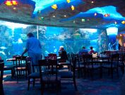 Nashville Aquarium Restaurant