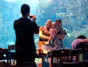 Nashville Aquarium Restaurant