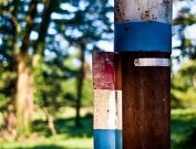 dsc03463_0