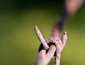 dsc03478_0